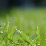 塩分カット?塩はどのくらい？塩梅とは？
