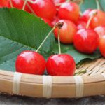 奥ゆかしい和の宝石。日本古来のフルーツ達！