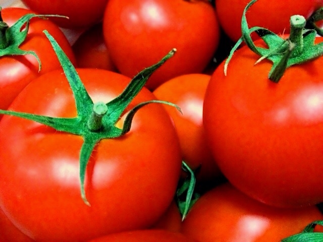 旬 待つ 待たない 豊かな 美味しい トマト